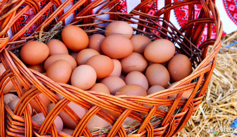 Продам домашнее куриное яйцо купить на Зозу.ру - фотография № 1