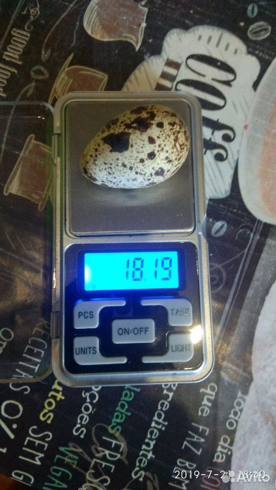 Перепелинное яйцо купить на Зозу.ру - фотография № 5