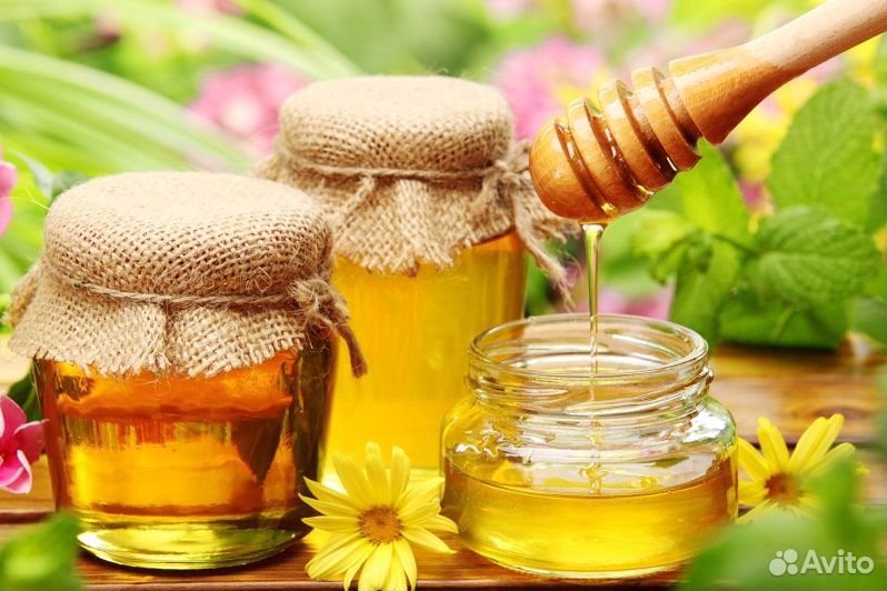 Натуральный мёд купить на Зозу.ру - фотография № 4