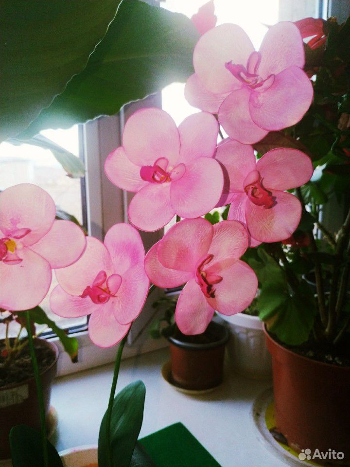 Орхидея, ручная работа купить на Зозу.ру - фотография № 4