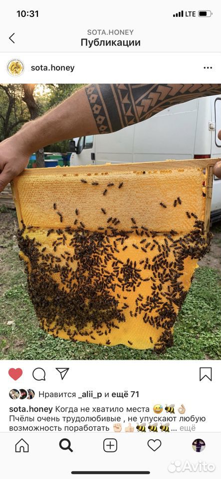 Натуральный мёд от производителя купить на Зозу.ру - фотография № 10