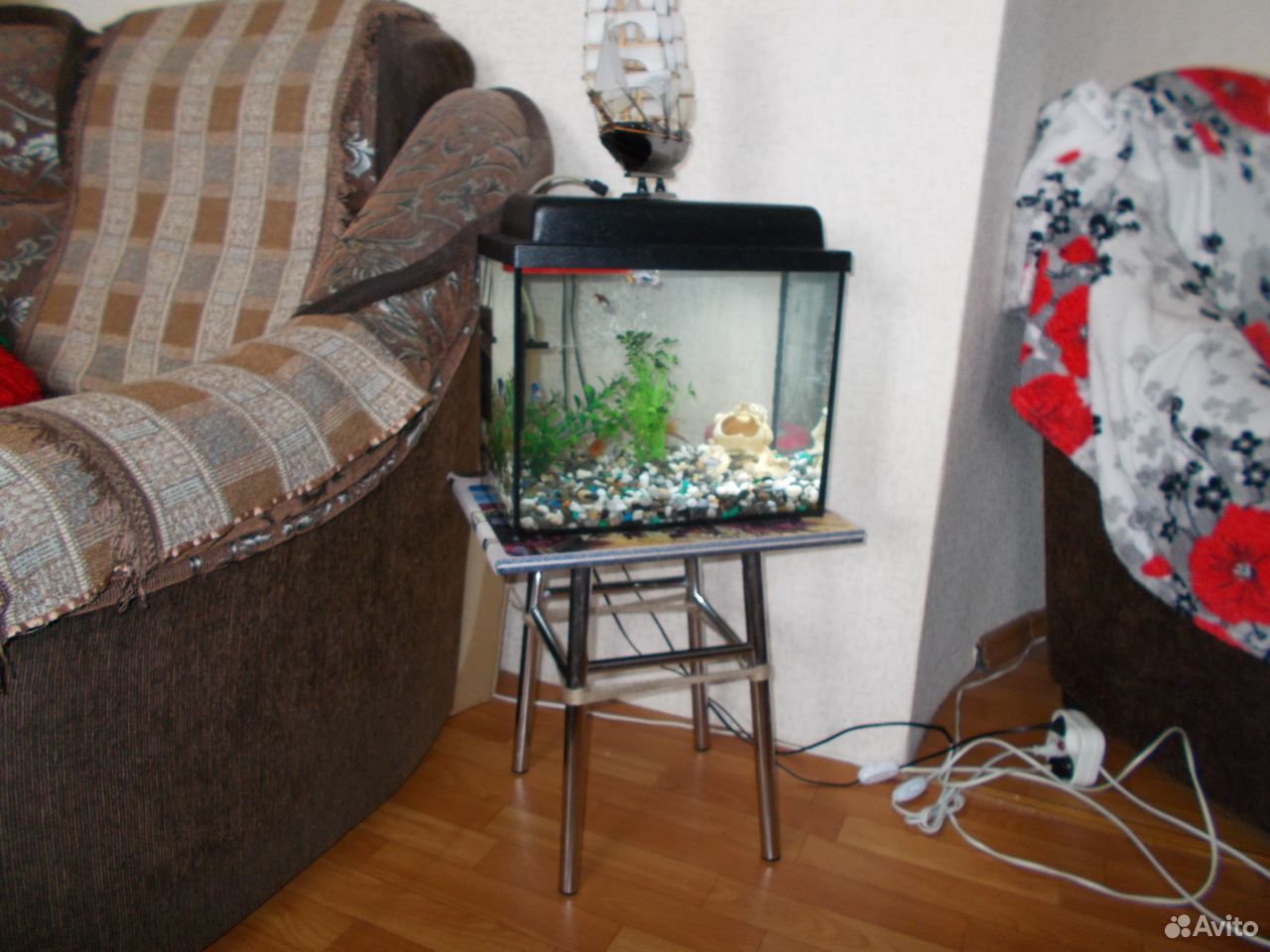 Продам аквариум -24 литра вместе с рыбками купить на Зозу.ру - фотография № 3