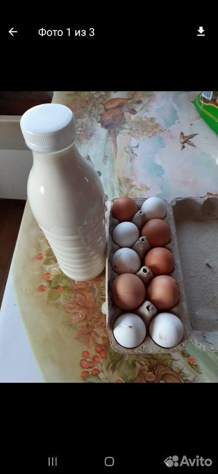 Яйца куриные,молоко козье,йогурт,кефир,ряженка и т купить на Зозу.ру - фотография № 1