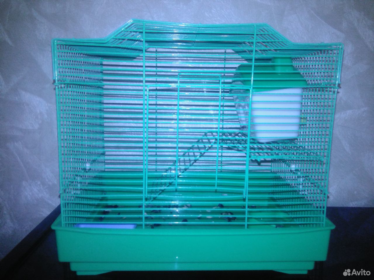 Декоративная ручная крыса с клеткой купить на Зозу.ру - фотография № 2