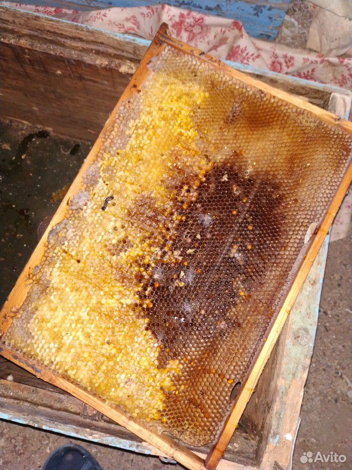 Сушь для пчел купить на Зозу.ру - фотография № 2