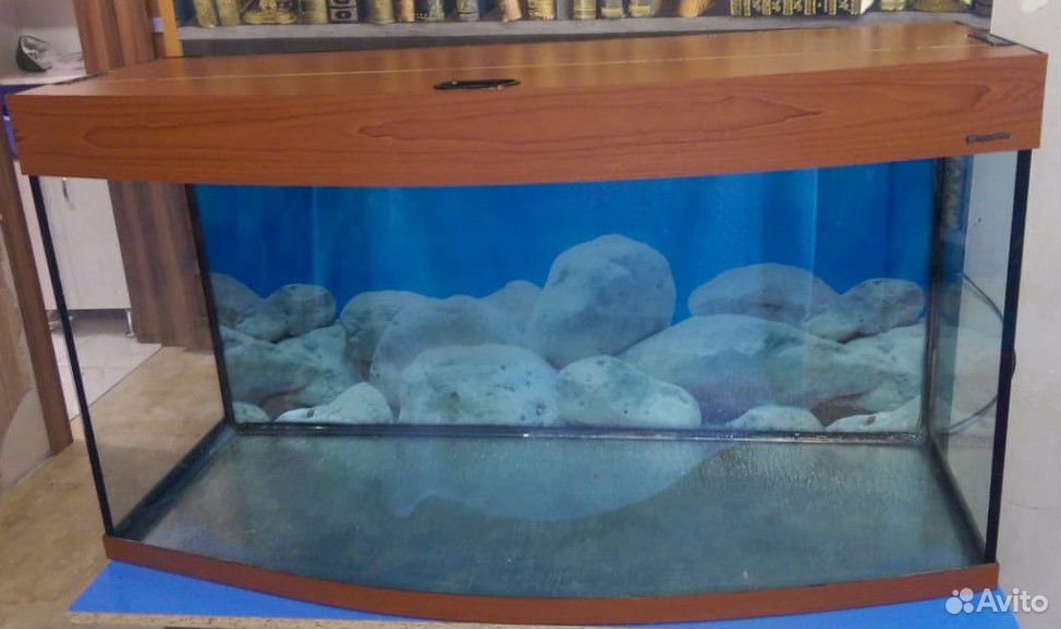 Панорамный аквариум 170л AquaPlus купить на Зозу.ру - фотография № 1