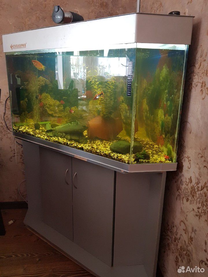 Продаётся аквариум купить на Зозу.ру - фотография № 2