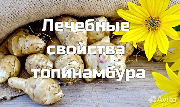 Корнеплод топинамбур купить на Зозу.ру - фотография № 1