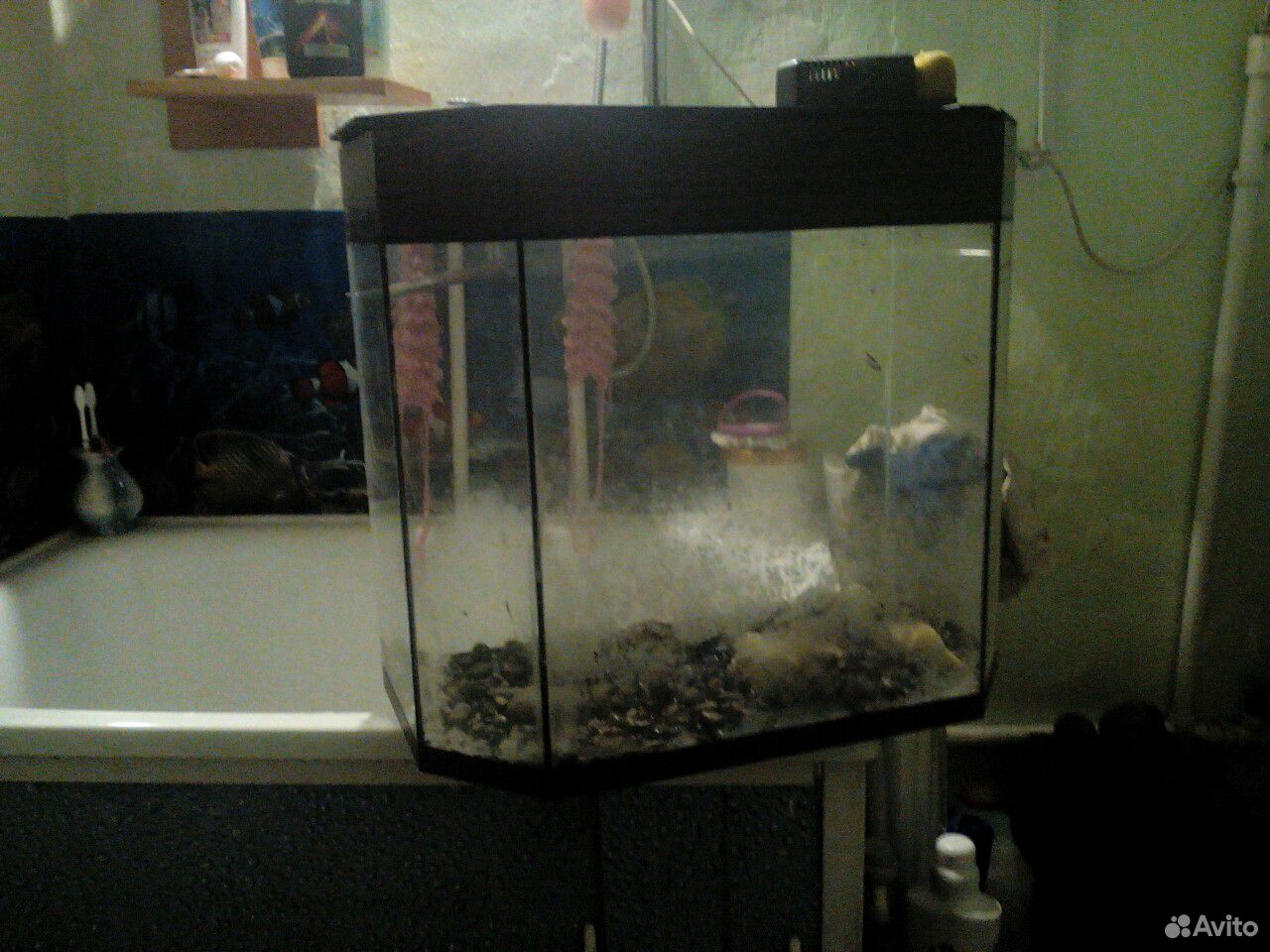 Продам аквариум для рыбок/б/у целый купить на Зозу.ру - фотография № 1