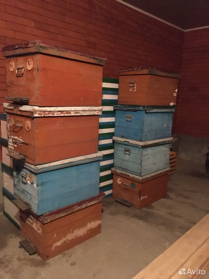 Ящики для пчел купить на Зозу.ру - фотография № 2