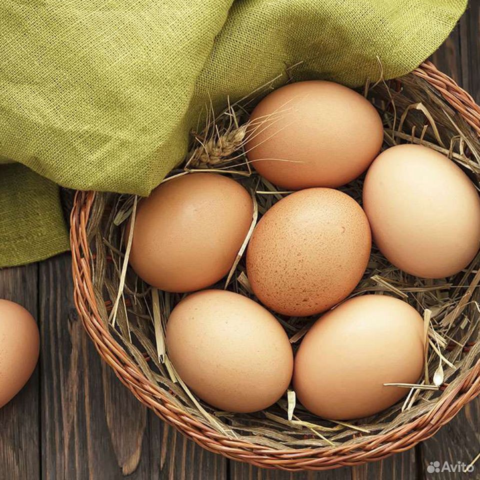 Куриное яйцо купить на Зозу.ру - фотография № 1