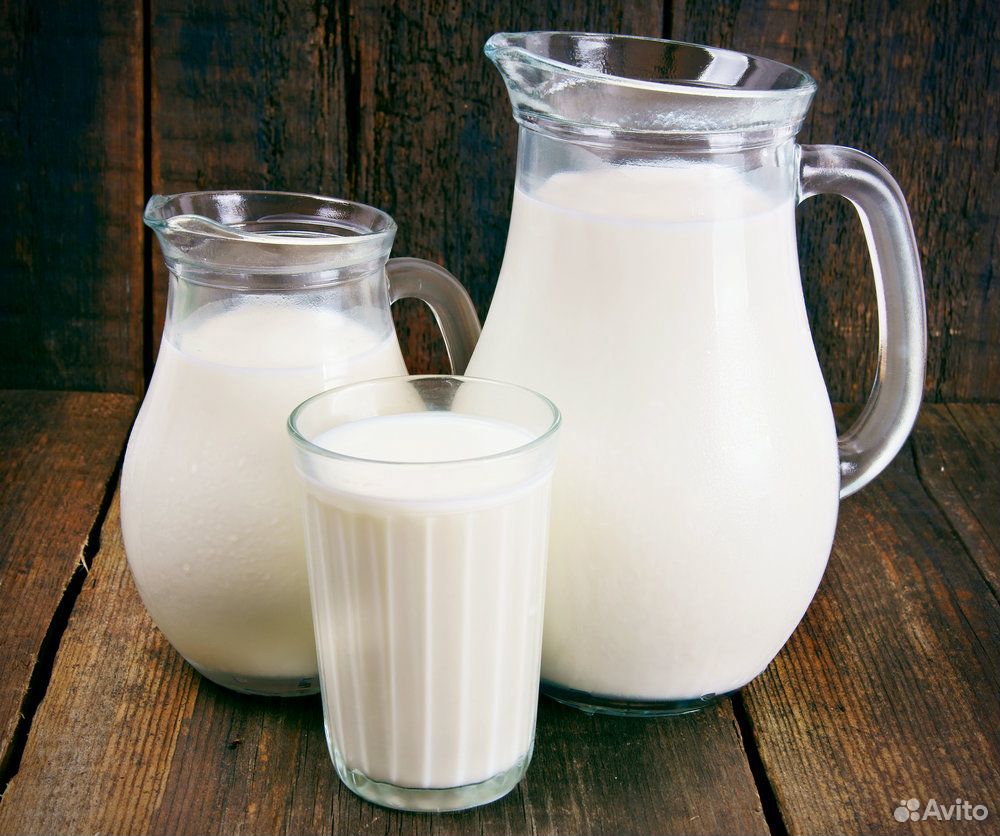 Продам молоко козье купить на Зозу.ру - фотография № 2