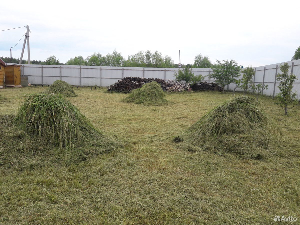 Трава купить на Зозу.ру - фотография № 1