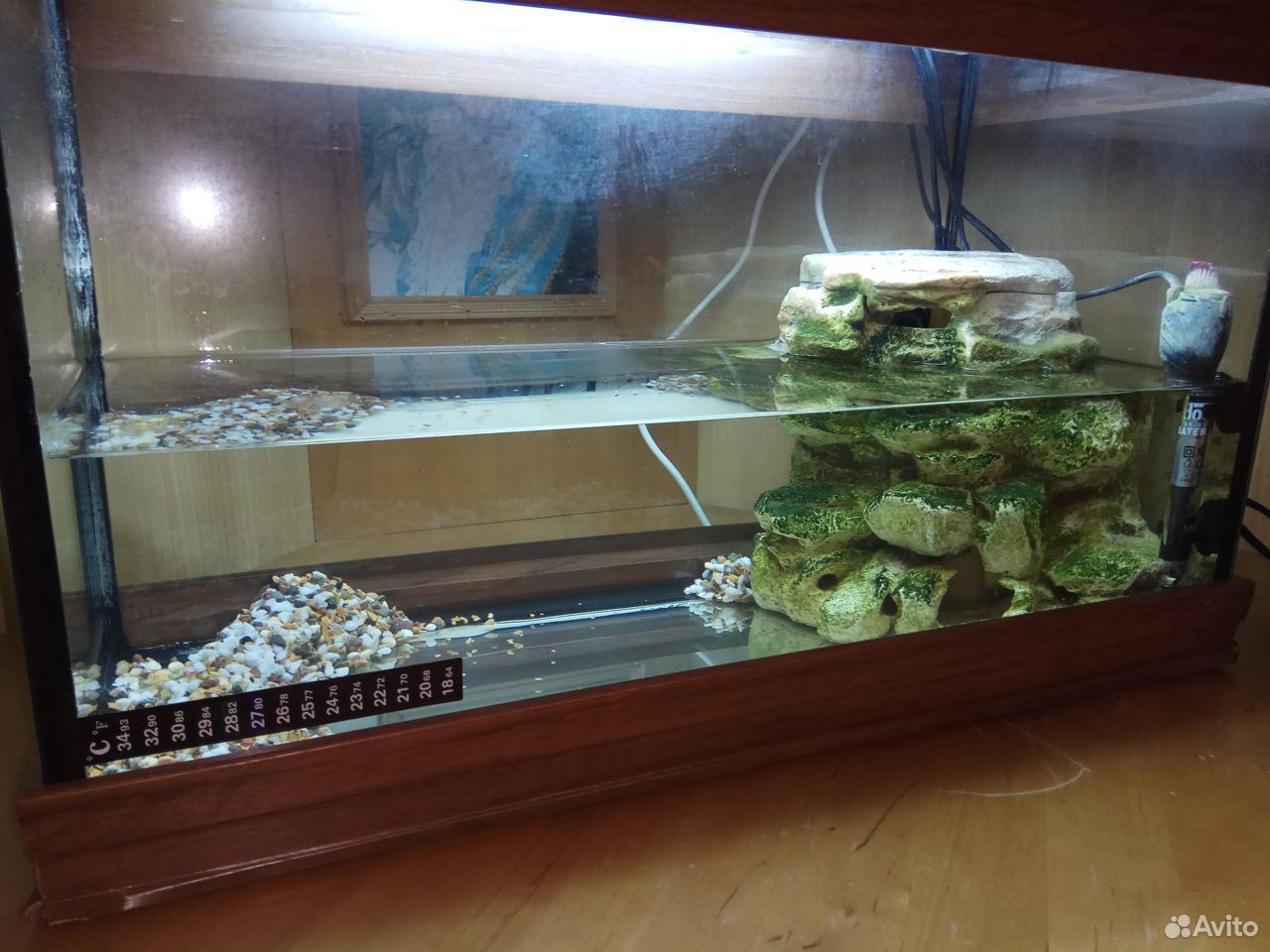 Черепаха красноухая с аквариумом купить на Зозу.ру - фотография № 2