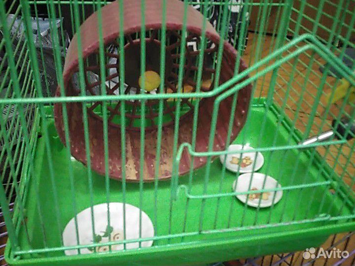 Клетка для грызунов + опилки с кормом купить на Зозу.ру - фотография № 4