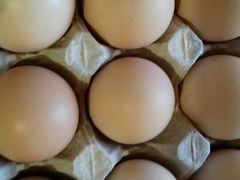 Яйца инкубационные яичных пород