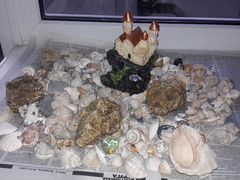 Домик,ракушки и камушки в аквариум