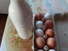 Яйца куриные,молоко козье,йогурт,кефир,ряженка и т