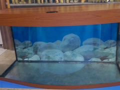 Панорамный аквариум 170л AquaPlus