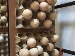 Яйца павлинов