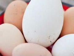 Инкубационные яйца:индюшиное, гусиное, куриное