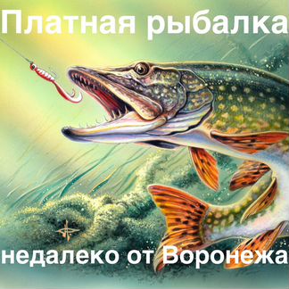 Платная рыбалка недалеко от Воронежа