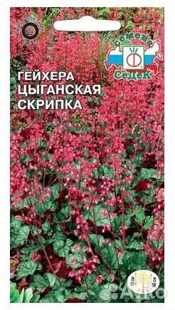 Гейхера цыганская скрипка