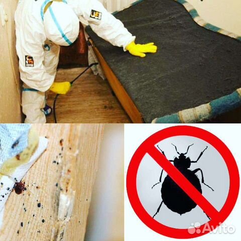 Средство уничтожения тараканов клопов Супер палач