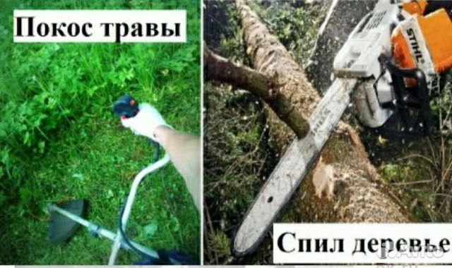 Покос травы спил деревьев картинки