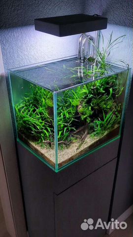 Аквариумы для Акваскейпа