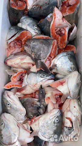 Суповой набор для ухи. Головы лососевые. Брюшки