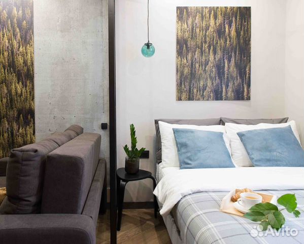 

Квартира-студия, 25 м², 2 кровати