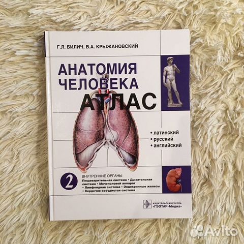 Анатомия Билич Крыжановский