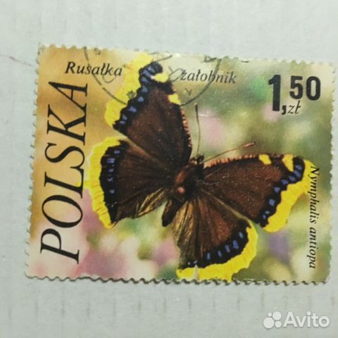 Марка фауна бабочка Polska