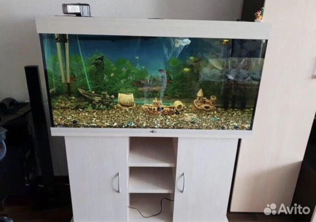 Продам шикарный аквариум в связи с отъездом купить на Зозу.ру - фотография № 2