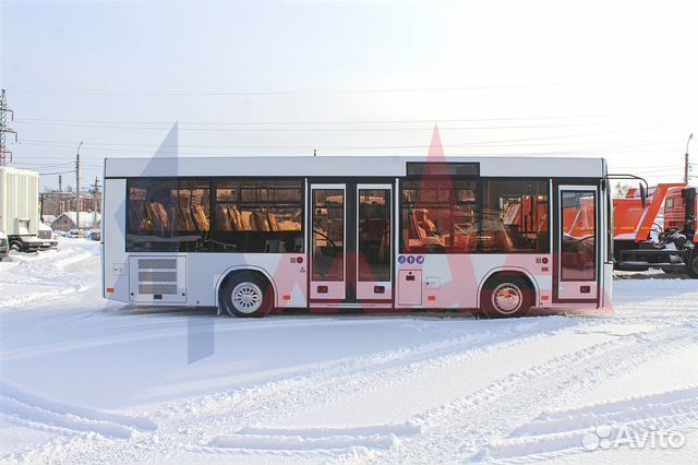 Маз 206 автобус Маз 206 автобус