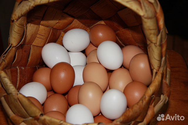 Продам яйцо домашнее куриное