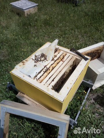 Каркасные ульи для пчел купить на Зозу.ру - фотография № 2