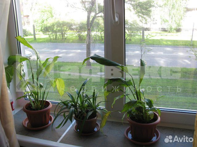 Комната 13.5 м² в 3-к, 2/9 эт.