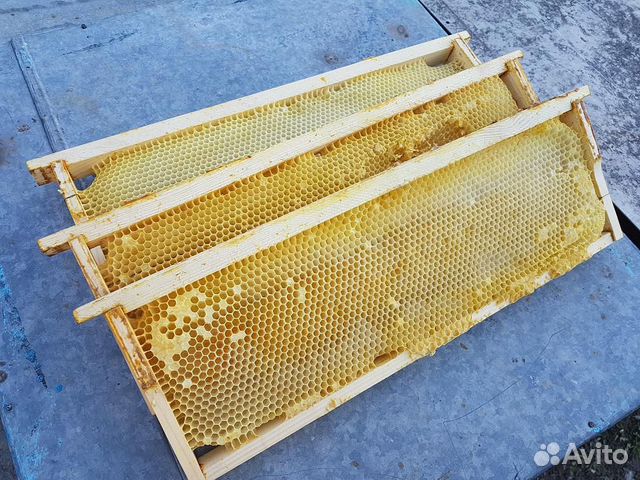 Рамки для пчёл купить на Зозу.ру - фотография № 1