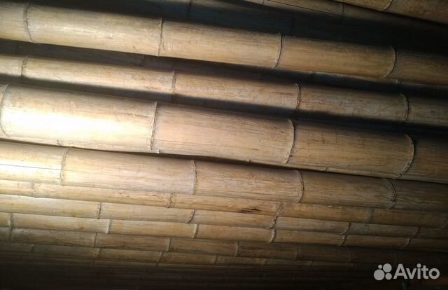 Ствол натуральный бамбук Ствол натуральный бамбук