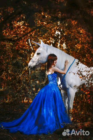 Конные прогулки