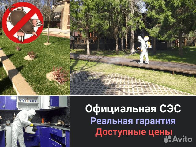 Уничтожение клещей, клопов, кротов, ос. Обработка