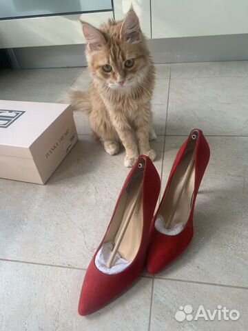 Туфли Лодочки Ivanka Tramp Туфли Лодочки Ivanka Tramp