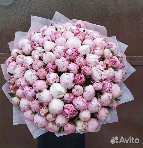 Букет пионов 11 15 21 25 35 51 101 пион Цветы