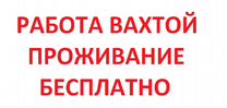 Водитель вахтой проживание питание. Работа вахтой надпись бесплатное проживание питание.