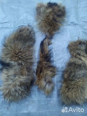 Обрезки меха енота