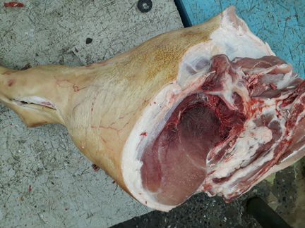 Мясо домашняя свинина