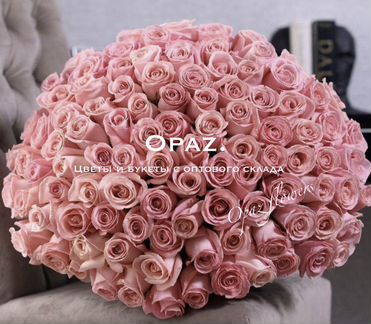 Розы цветы букет 101 розовая роза