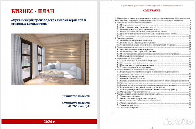 Разработаю бизнес-план, финансовую модель